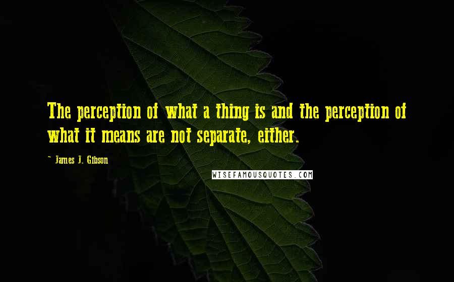 James J. Gibson Quotes: The perception of what a thing is and the perception of what it means are not separate, either.