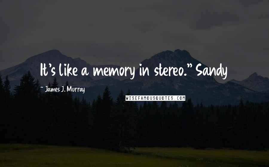 James J. Murray Quotes: It's like a memory in stereo." Sandy