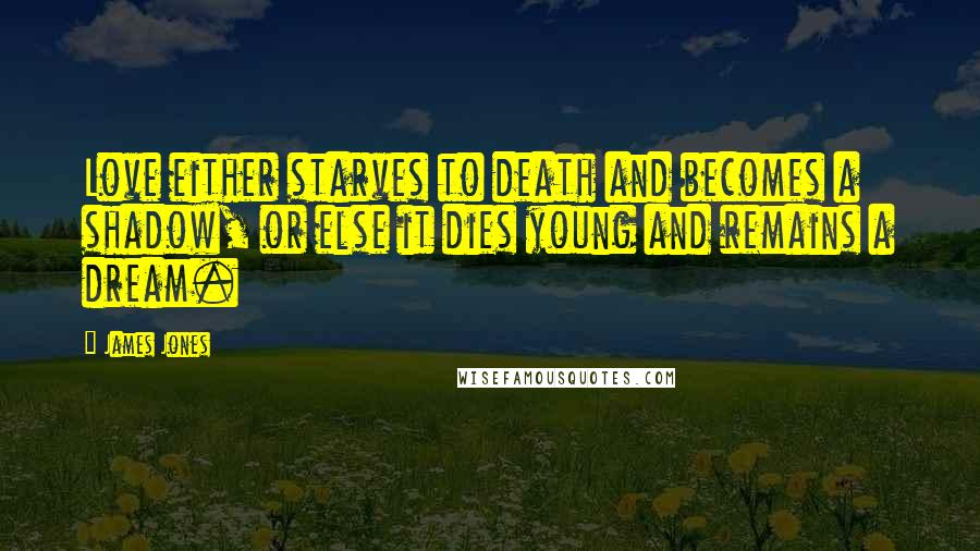 James Jones Quotes: Love either starves to death and becomes a shadow, or else it dies young and remains a dream.