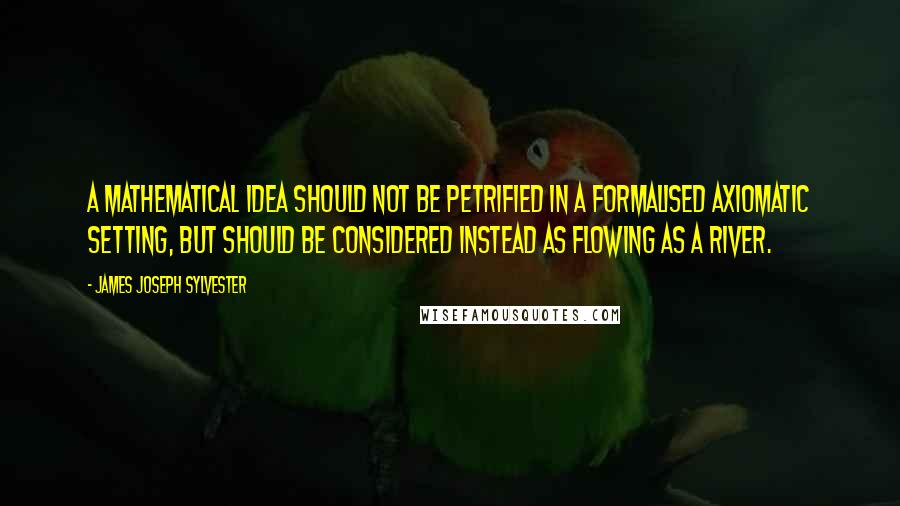 James Joseph Sylvester Quotes: A mathematical idea should not be petrified in a formalised axiomatic setting, but should be considered instead as flowing as a river.