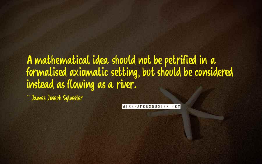 James Joseph Sylvester Quotes: A mathematical idea should not be petrified in a formalised axiomatic setting, but should be considered instead as flowing as a river.