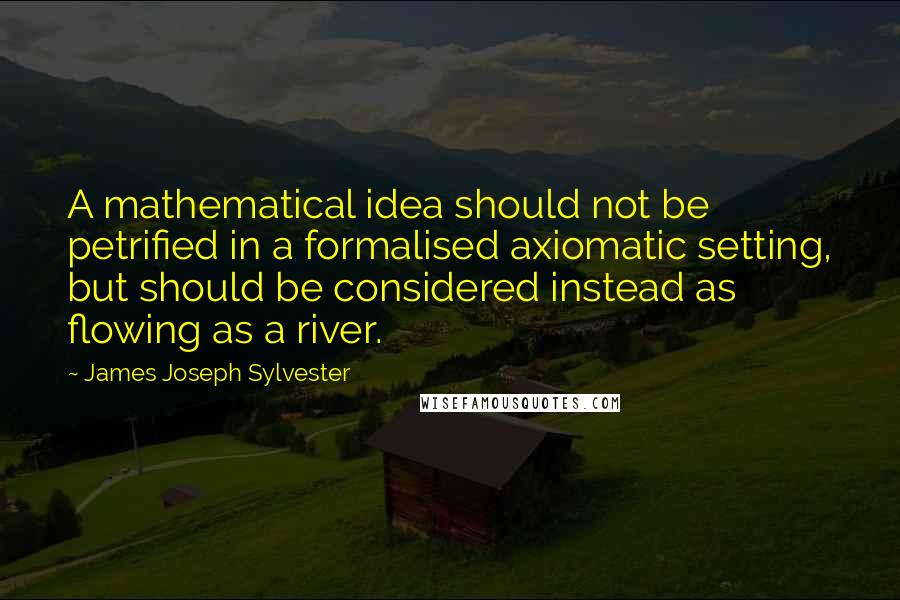 James Joseph Sylvester Quotes: A mathematical idea should not be petrified in a formalised axiomatic setting, but should be considered instead as flowing as a river.