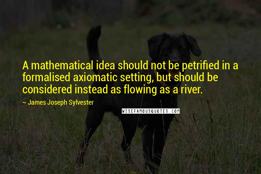 James Joseph Sylvester Quotes: A mathematical idea should not be petrified in a formalised axiomatic setting, but should be considered instead as flowing as a river.