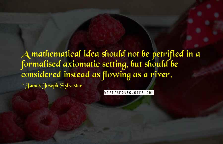 James Joseph Sylvester Quotes: A mathematical idea should not be petrified in a formalised axiomatic setting, but should be considered instead as flowing as a river.