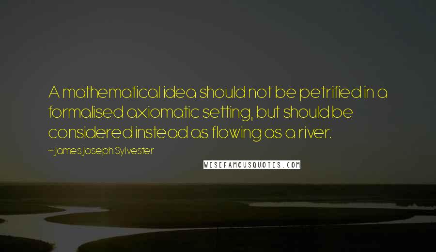 James Joseph Sylvester Quotes: A mathematical idea should not be petrified in a formalised axiomatic setting, but should be considered instead as flowing as a river.