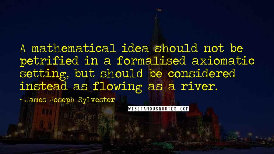 James Joseph Sylvester Quotes: A mathematical idea should not be petrified in a formalised axiomatic setting, but should be considered instead as flowing as a river.