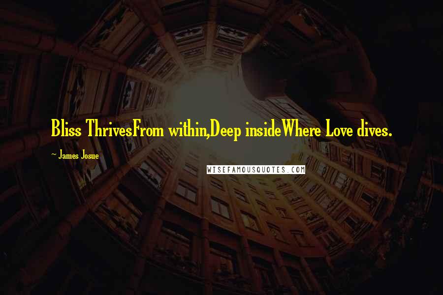 James Josue Quotes: Bliss ThrivesFrom within,Deep insideWhere Love dives.