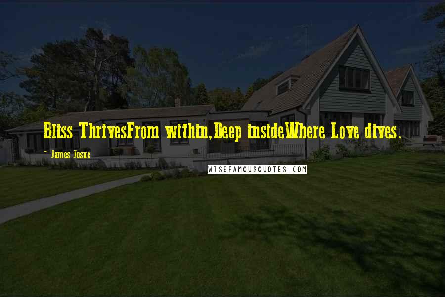 James Josue Quotes: Bliss ThrivesFrom within,Deep insideWhere Love dives.