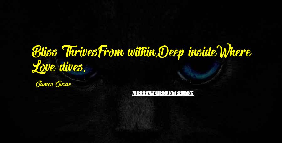 James Josue Quotes: Bliss ThrivesFrom within,Deep insideWhere Love dives.