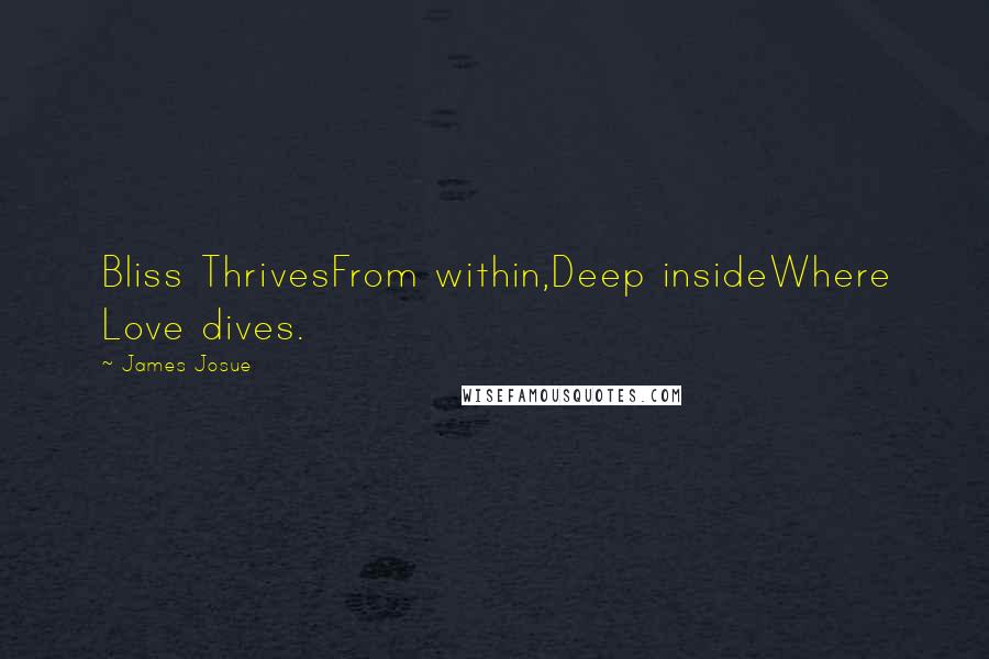 James Josue Quotes: Bliss ThrivesFrom within,Deep insideWhere Love dives.