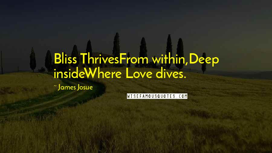 James Josue Quotes: Bliss ThrivesFrom within,Deep insideWhere Love dives.