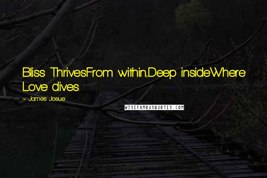 James Josue Quotes: Bliss ThrivesFrom within,Deep insideWhere Love dives.