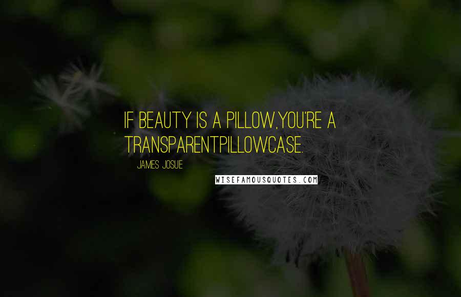 James Josue Quotes: If beauty is a pillow,You're a transparentPillowcase.