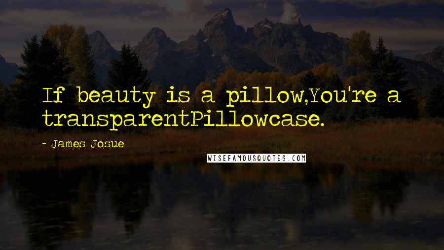 James Josue Quotes: If beauty is a pillow,You're a transparentPillowcase.