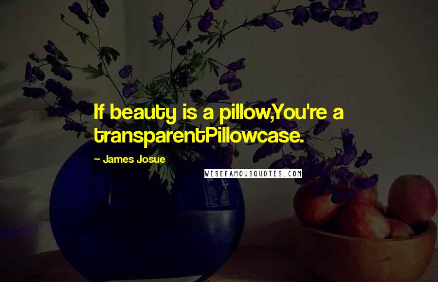 James Josue Quotes: If beauty is a pillow,You're a transparentPillowcase.