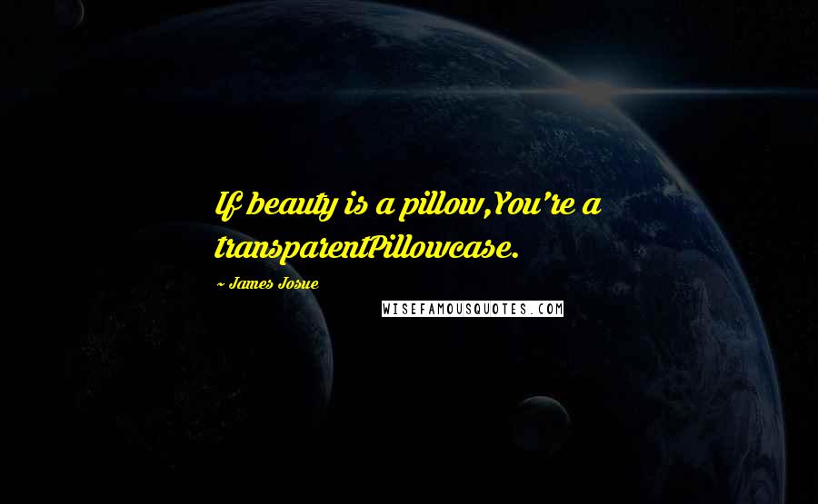 James Josue Quotes: If beauty is a pillow,You're a transparentPillowcase.