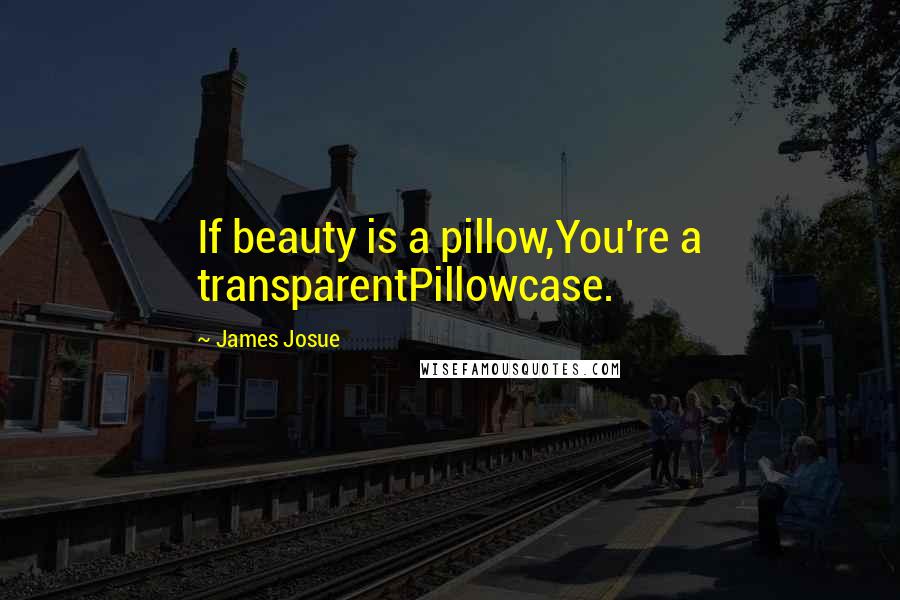 James Josue Quotes: If beauty is a pillow,You're a transparentPillowcase.