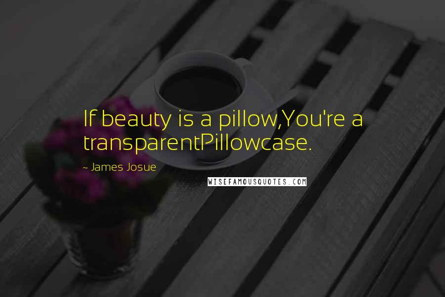 James Josue Quotes: If beauty is a pillow,You're a transparentPillowcase.