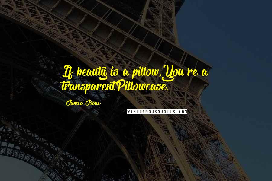 James Josue Quotes: If beauty is a pillow,You're a transparentPillowcase.