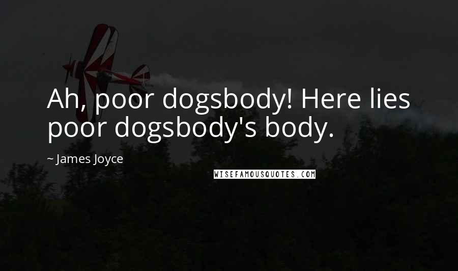James Joyce Quotes: Ah, poor dogsbody! Here lies poor dogsbody's body.
