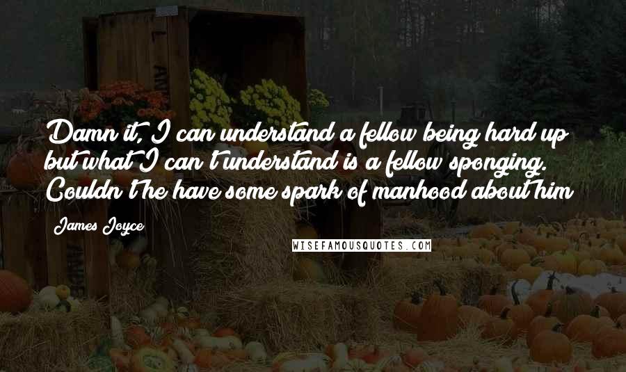 James Joyce Quotes: Damn it, I can understand a fellow being hard up but what I can't understand is a fellow sponging. Couldn't he have some spark of manhood about him?