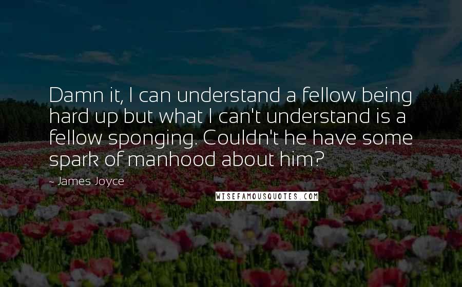 James Joyce Quotes: Damn it, I can understand a fellow being hard up but what I can't understand is a fellow sponging. Couldn't he have some spark of manhood about him?