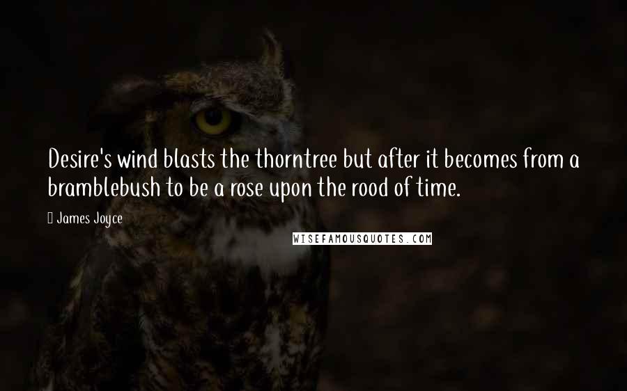 James Joyce Quotes: Desire's wind blasts the thorntree but after it becomes from a bramblebush to be a rose upon the rood of time.
