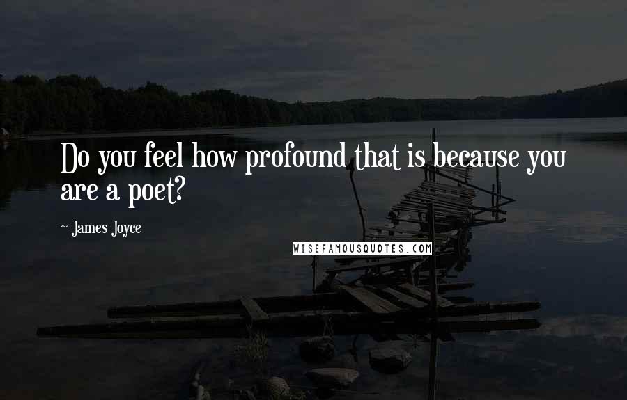 James Joyce Quotes: Do you feel how profound that is because you are a poet?