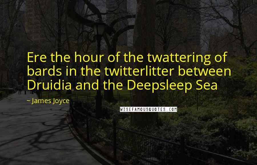 James Joyce Quotes: Ere the hour of the twattering of bards in the twitterlitter between Druidia and the Deepsleep Sea