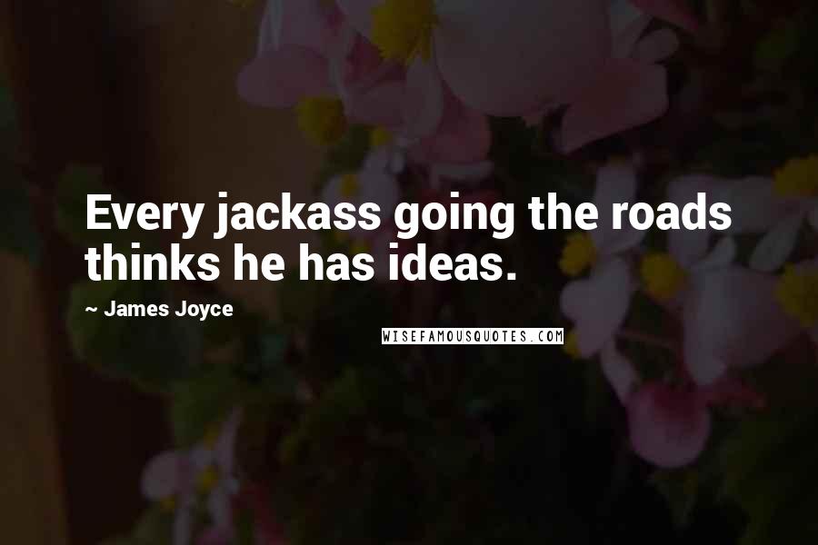 James Joyce Quotes: Every jackass going the roads thinks he has ideas.