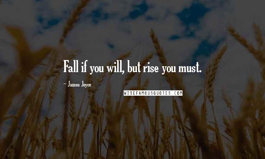 James Joyce Quotes: Fall if you will, but rise you must.