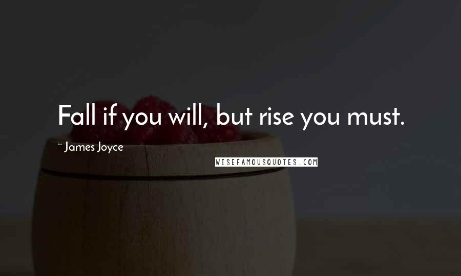 James Joyce Quotes: Fall if you will, but rise you must.