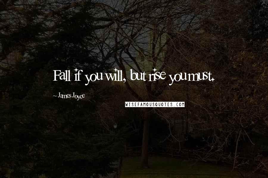 James Joyce Quotes: Fall if you will, but rise you must.