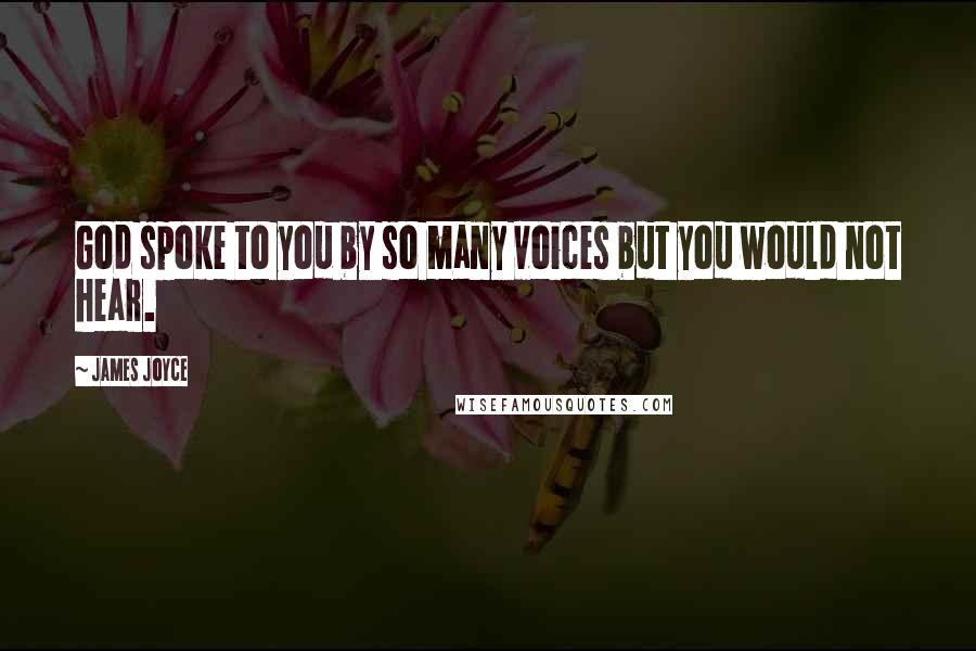 James Joyce Quotes: God spoke to you by so many voices but you would not hear.