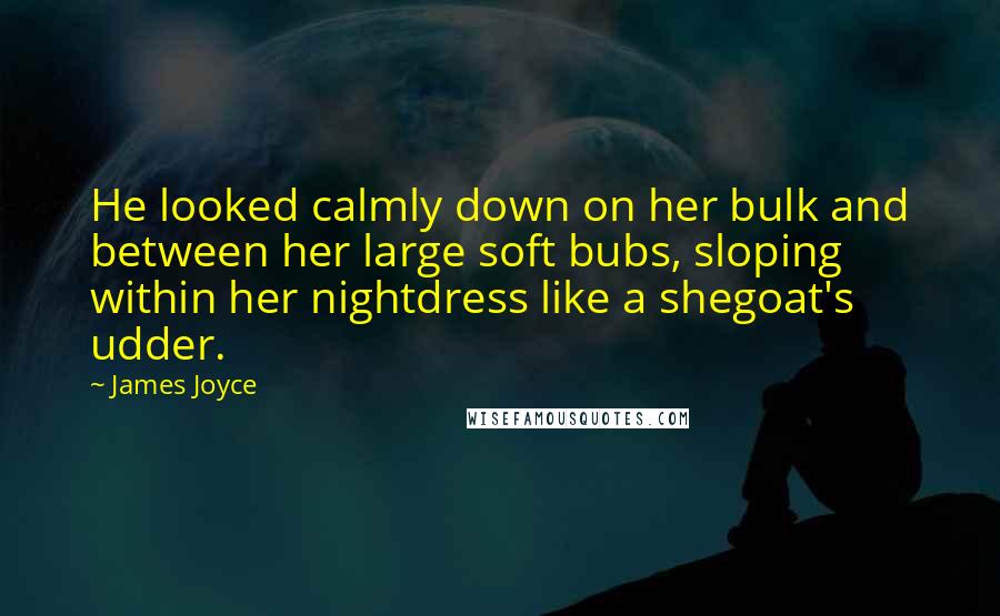 James Joyce Quotes: He looked calmly down on her bulk and between her large soft bubs, sloping within her nightdress like a shegoat's udder.