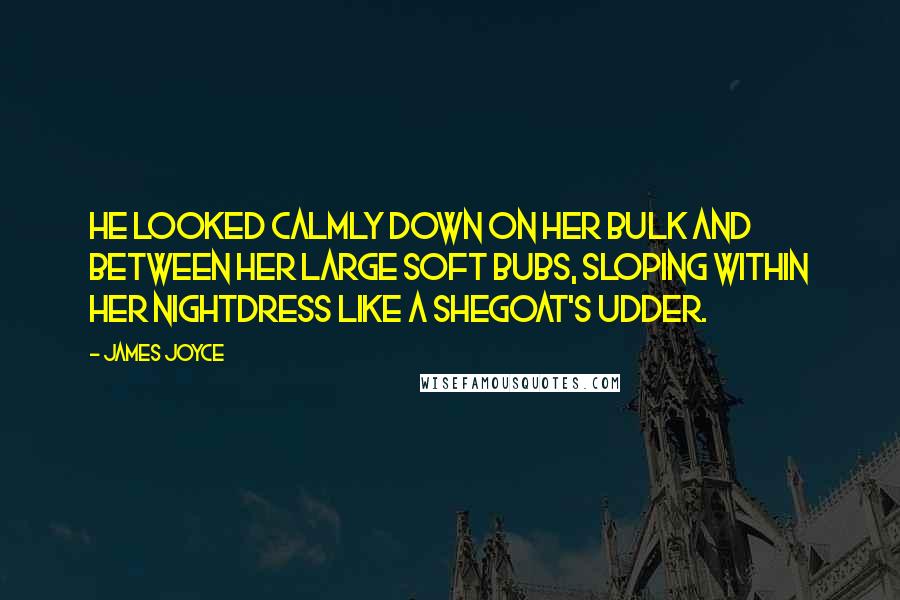 James Joyce Quotes: He looked calmly down on her bulk and between her large soft bubs, sloping within her nightdress like a shegoat's udder.