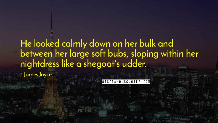 James Joyce Quotes: He looked calmly down on her bulk and between her large soft bubs, sloping within her nightdress like a shegoat's udder.