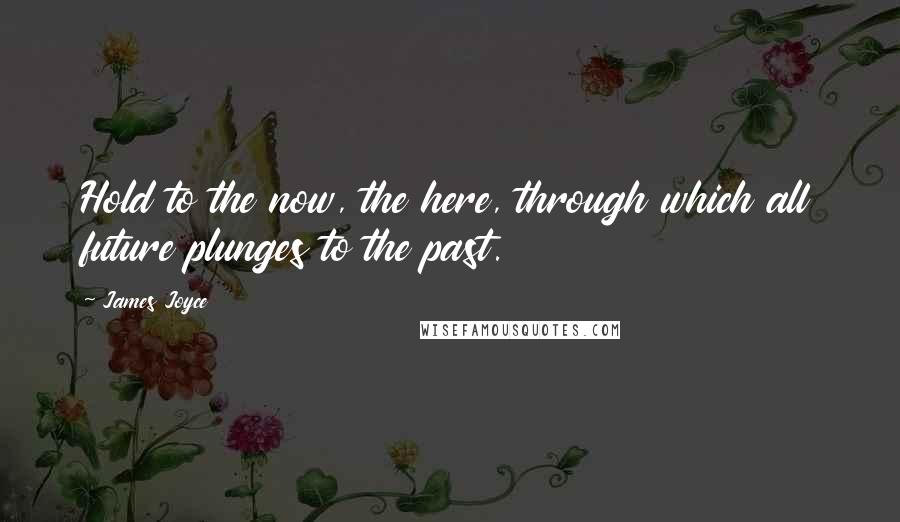 James Joyce Quotes: Hold to the now, the here, through which all future plunges to the past.