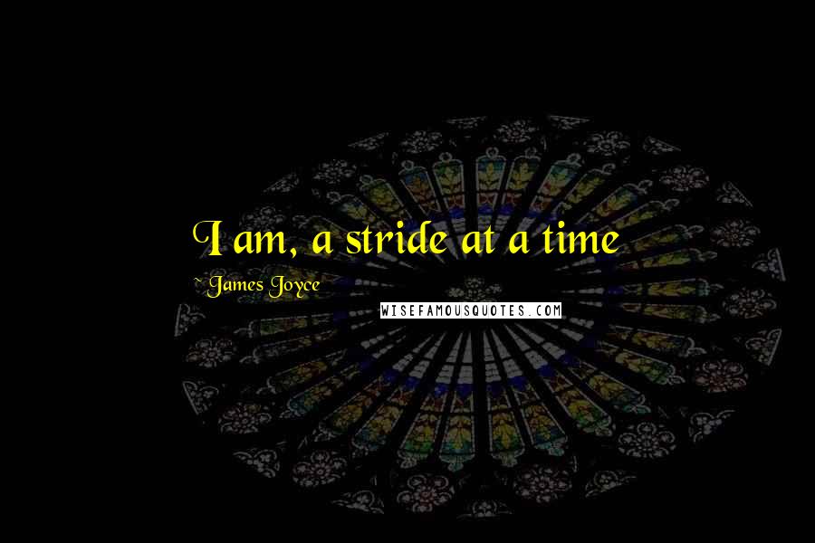 James Joyce Quotes: I am, a stride at a time