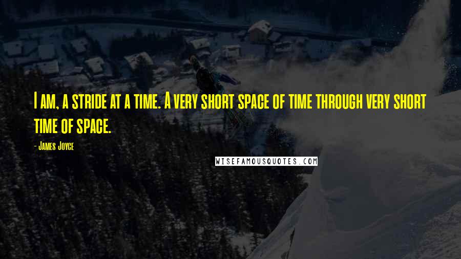 James Joyce Quotes: I am, a stride at a time. A very short space of time through very short time of space.