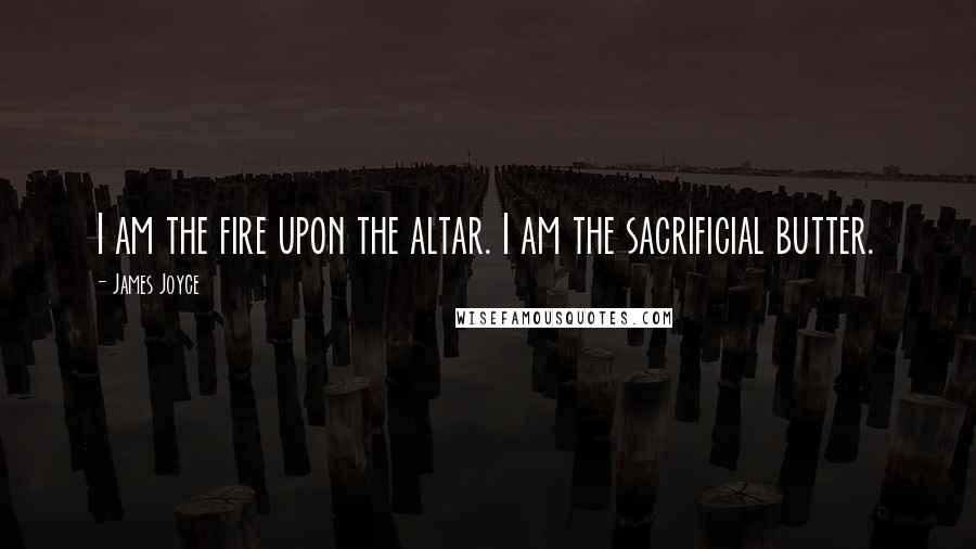 James Joyce Quotes: I am the fire upon the altar. I am the sacrificial butter.