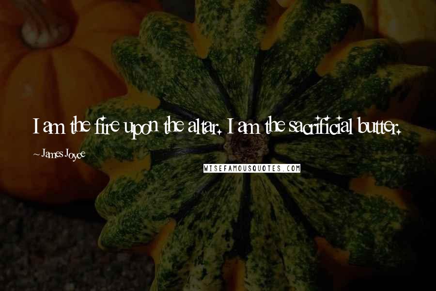 James Joyce Quotes: I am the fire upon the altar. I am the sacrificial butter.