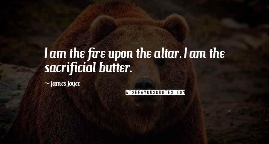 James Joyce Quotes: I am the fire upon the altar. I am the sacrificial butter.
