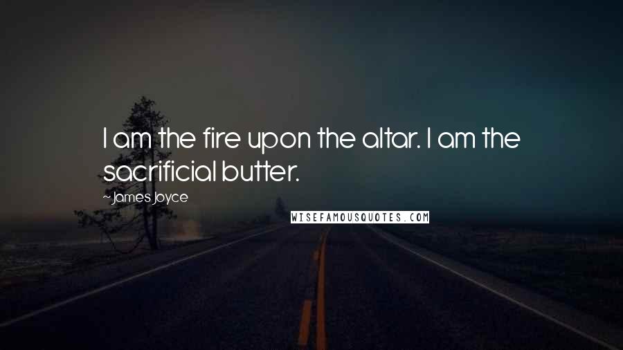 James Joyce Quotes: I am the fire upon the altar. I am the sacrificial butter.