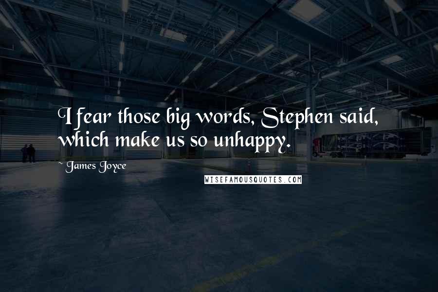 James Joyce Quotes: I fear those big words, Stephen said, which make us so unhappy.