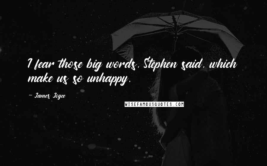 James Joyce Quotes: I fear those big words, Stephen said, which make us so unhappy.