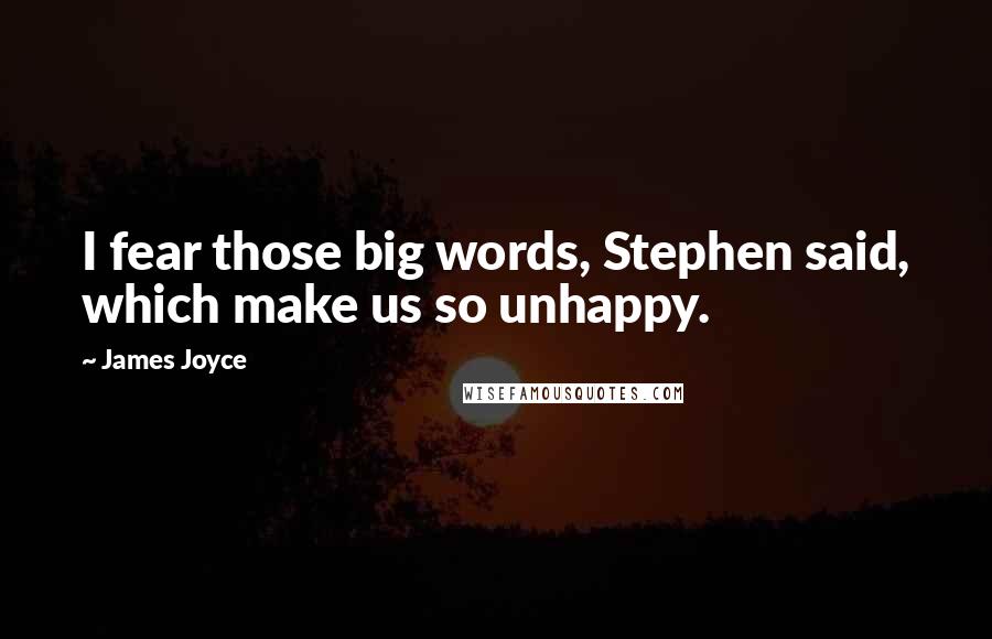 James Joyce Quotes: I fear those big words, Stephen said, which make us so unhappy.