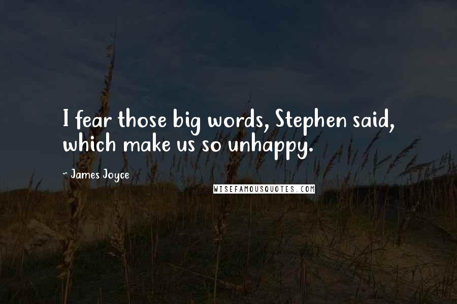 James Joyce Quotes: I fear those big words, Stephen said, which make us so unhappy.