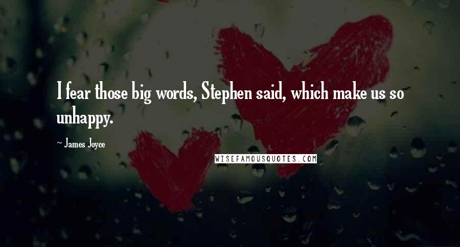 James Joyce Quotes: I fear those big words, Stephen said, which make us so unhappy.