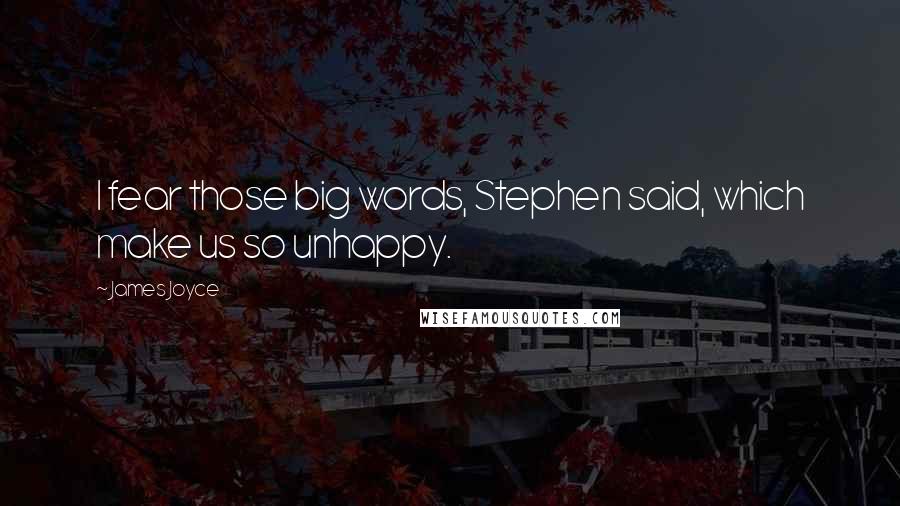James Joyce Quotes: I fear those big words, Stephen said, which make us so unhappy.